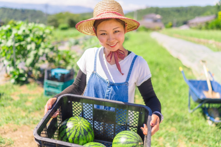 Top 7 ngành xuất khẩu lao động Nhật Bản nữ nên chọn năm 2021