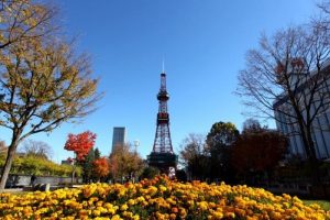 Top 6 điều không thể bỏ qua khi đi thực tập sinh Nhật Bản ở Hokkaido